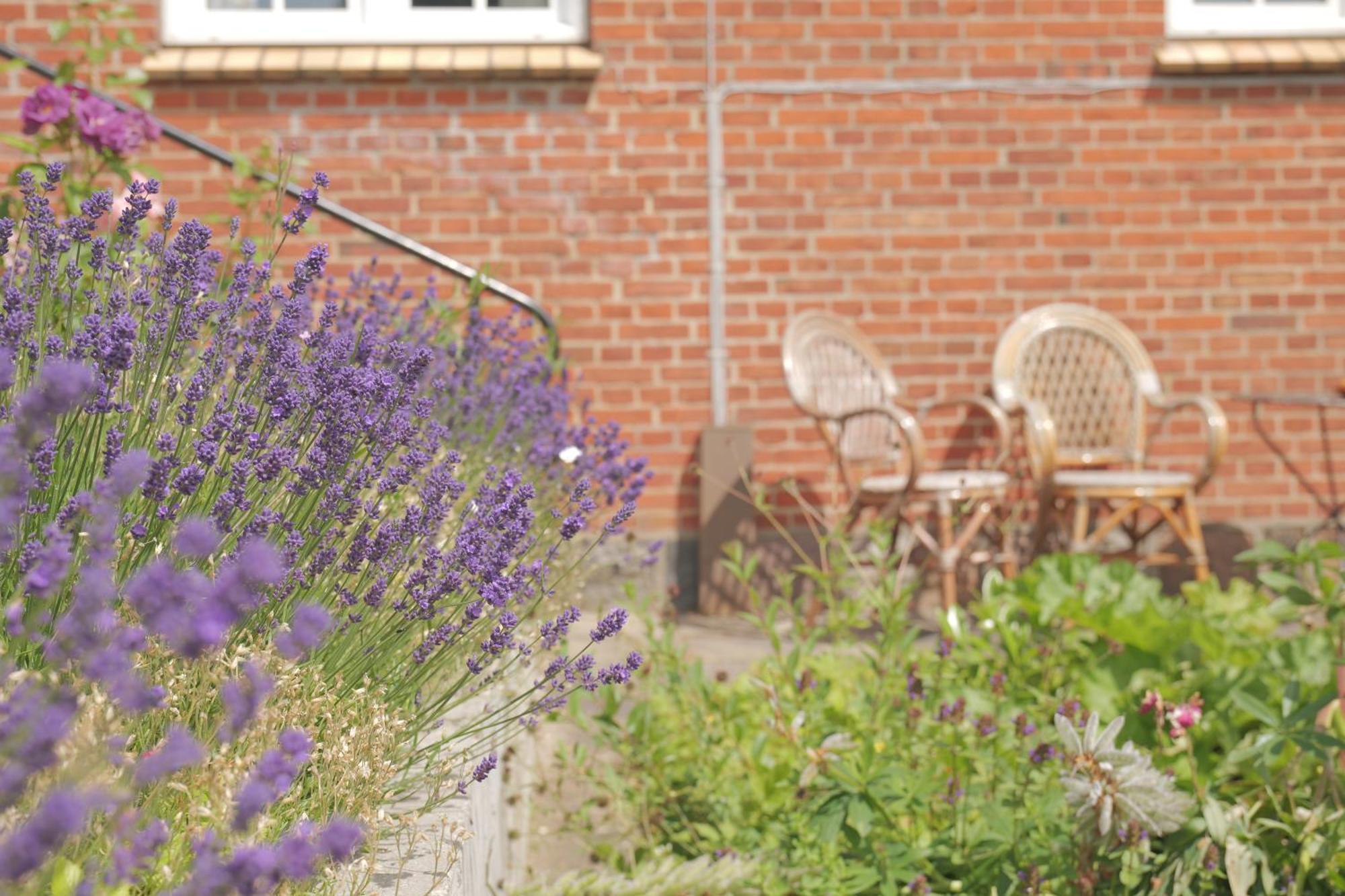 Bed and breakfast Huset I Hejls Extérieur photo